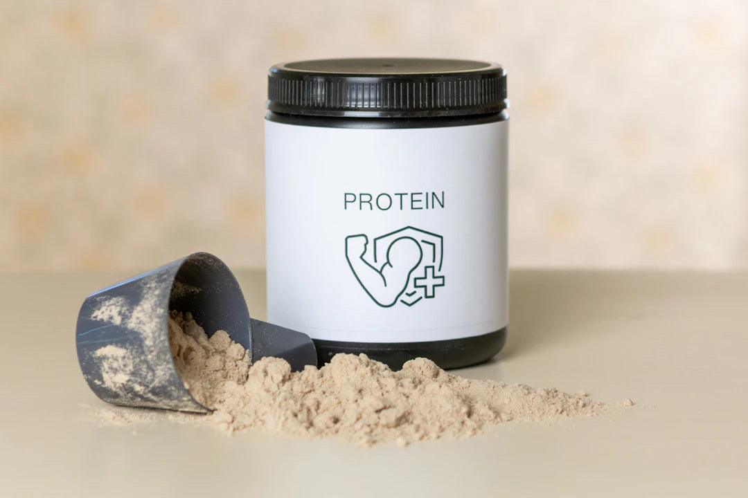 Proteine Bausteine für Muskelaufbau