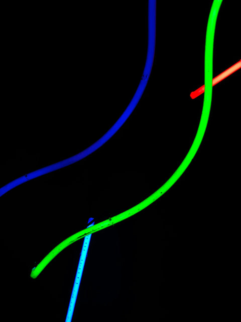 Sportnahrung für Training und Regeneration mit Aminosäuren