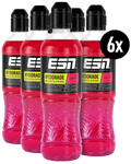 ESN Hydorade Sports Drink, 6 x 500 ml Flasche