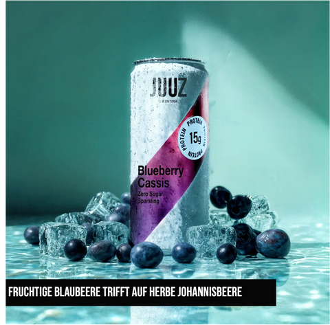 JUUZ Blueberry-Cassis 24er Tray